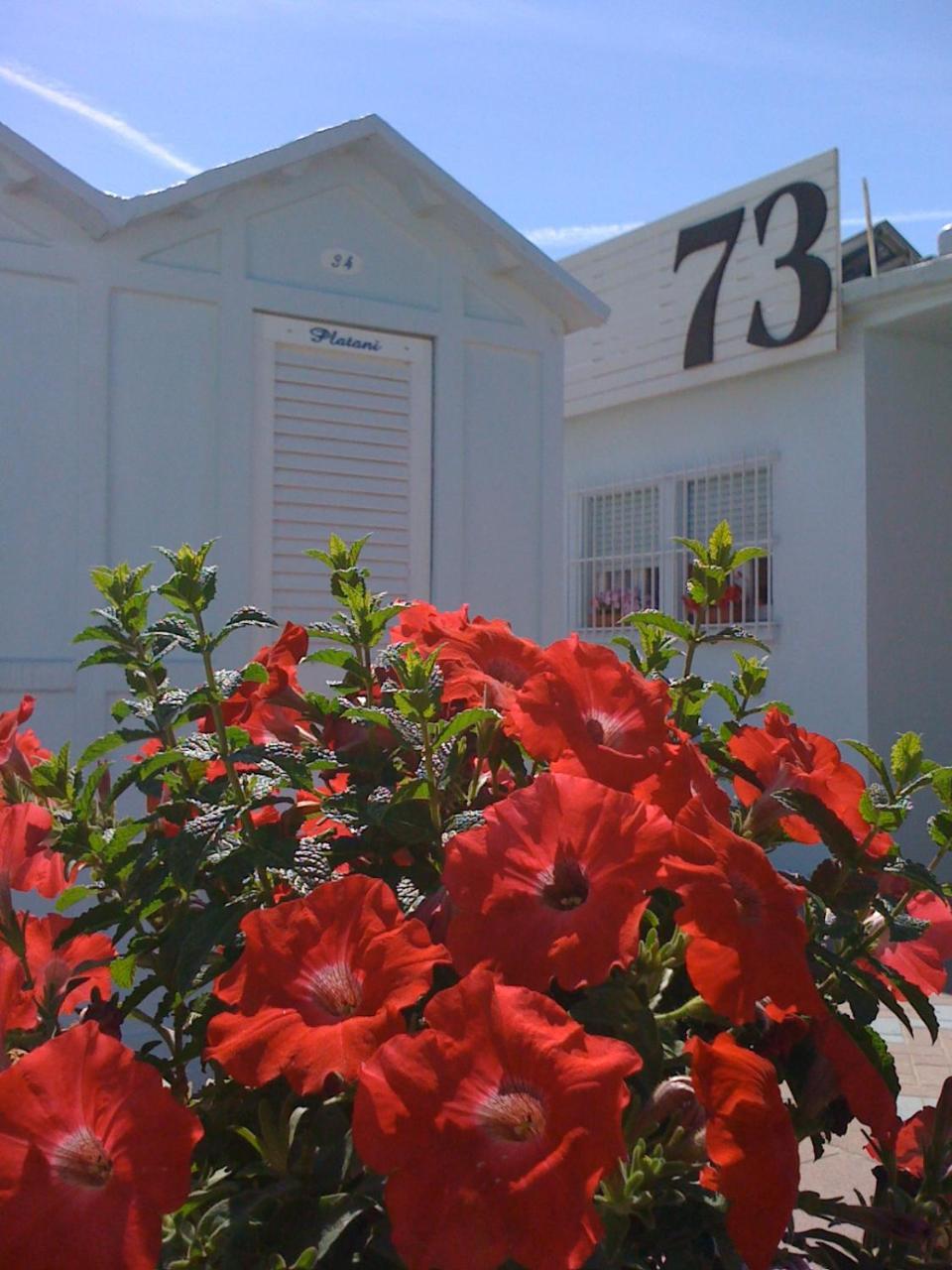 Hotel Villa Platani Riccione Exterior photo